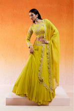 Load image into Gallery viewer, Daisy Yellow Embroidered Lehenga Set