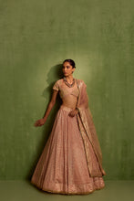 Load image into Gallery viewer, peach lehenga set