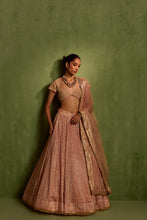 Load image into Gallery viewer, peach lehenga set