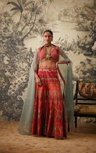 Load image into Gallery viewer, AROHI SHARARA SET