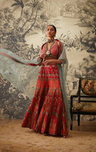 Load image into Gallery viewer, AROHI SHARARA SET