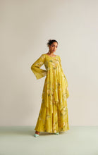 Load image into Gallery viewer, ANAIKA SHARARA SET