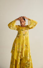 Load image into Gallery viewer, ANAIKA SHARARA SET