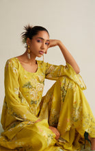 Load image into Gallery viewer, ANAIKA SHARARA SET