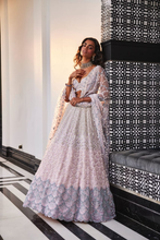 Load image into Gallery viewer, PINK EMBROIDERED ORGANZA SET