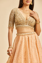 Load image into Gallery viewer, PEACH ORGANZA LEHENGA WITH GOLD CHOLI