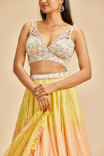 Load image into Gallery viewer, TRIPPLE SHADED LEHENGA SET