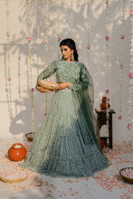 Load image into Gallery viewer, Olive Green Embroidered Lehenga Set