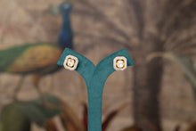 Load image into Gallery viewer, SEHRISH