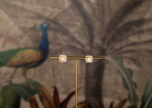 Load image into Gallery viewer, RABIA