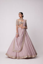 Load image into Gallery viewer, ASH PINK FLOWER BORDER ORGANZA LEHENGA SET