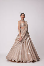 Load image into Gallery viewer, LIGHT BEIGE SEQUIN EMBROIDERED LEHENGA SET