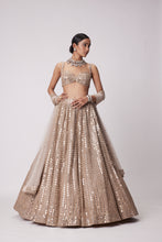 Load image into Gallery viewer, LIGHT BEIGE HAND EMBROIDERED LEHENGA SET