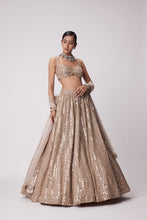 Load image into Gallery viewer, LIGHT BEIGE HAND EMBROIDERED LEHENGA SET