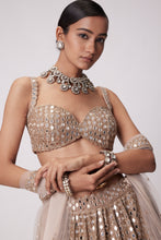 Load image into Gallery viewer, LIGHT BEIGE HAND EMBROIDERED LEHENGA SET