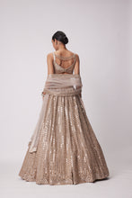 Load image into Gallery viewer, LIGHT BEIGE HAND EMBROIDERED LEHENGA SET