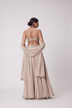 Load image into Gallery viewer, LIGHT BEIGE GEORGETTE LEHENGA PANTS SET
