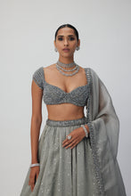 Load image into Gallery viewer, Crystal Grey Sequins Scattered Organza Lehenga Set