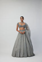 Load image into Gallery viewer, Crystal Grey Sequins Scattered Organza Lehenga Set