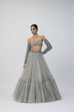 Load image into Gallery viewer, Crystal Grey Tulle Lehenga Set