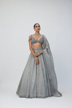 Load image into Gallery viewer, Crystal Grey Sequins Scattered Lehenga Set
