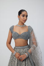 Load image into Gallery viewer, Crystal Grey Sequins Embroidered Lehenga Set
