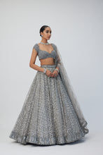 Load image into Gallery viewer, Crystal Grey Sequins Embroidered Lehenga Set