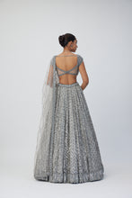 Load image into Gallery viewer, Crystal Grey Sequins Embroidered Lehenga Set