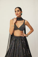 Load image into Gallery viewer, Black crystal Linear Embroidered Lehenga Set