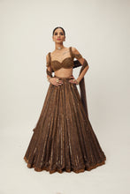 Load image into Gallery viewer, Copper crystal Linear embroidered Lehenga set