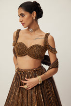 Load image into Gallery viewer, Copper crystal Linear embroidered Lehenga set