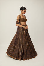 Load image into Gallery viewer, Copper crystal Linear embroidered Lehenga set
