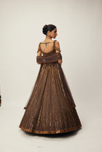 Load image into Gallery viewer, Copper crystal Linear embroidered Lehenga set