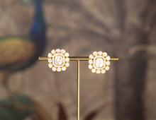 Load image into Gallery viewer, AARYA