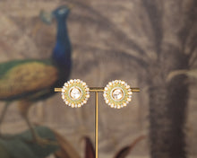 Load image into Gallery viewer, AQSA