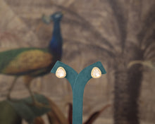 Load image into Gallery viewer, LAILA