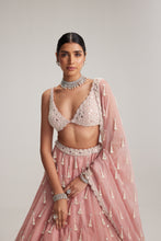 Load image into Gallery viewer, Dusty Rose Organza Long pearl tassels lehenga set
