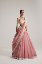 Load image into Gallery viewer, Dusty Rose Organza mirror and pearl lehenga set