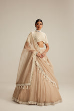 Load image into Gallery viewer, Light Beige High Neck Organza mirror and pearl lehenga set