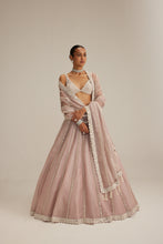 Load image into Gallery viewer, Ash Pink Pearl Mirror linear Lehenga with V neck Blouse