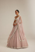 Load image into Gallery viewer, Ash Pink Pearl Drop Organza Lehenga Set