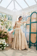 Load image into Gallery viewer, gold organza hand embroidered lehenga