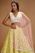 Load image into Gallery viewer, Dahlia lehenga set