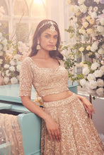 Load image into Gallery viewer, gold organza hand embroidered lehenga