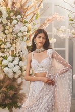 Load image into Gallery viewer, Lilac embellished lehenga