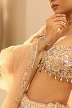 Load image into Gallery viewer, Nude embroidered lehenga set