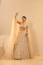 Load image into Gallery viewer, Nude embroidered lehenga set