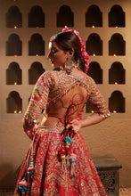 Load image into Gallery viewer, Red embroidered lehenga set