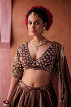 Load image into Gallery viewer, Brown upada silk blouse, lehenga and organza dupatta