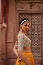 Load image into Gallery viewer, Mustard and Powder blue embroidered blouse, lehenga and dupatta